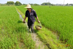 客戶不滿意?你需要了解這款除草劑消泡劑